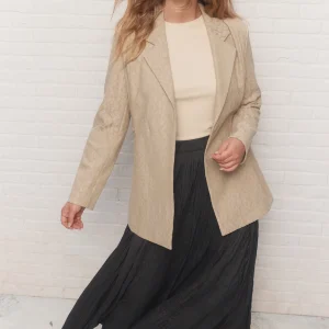 Nika | Jupe longue grise plissée