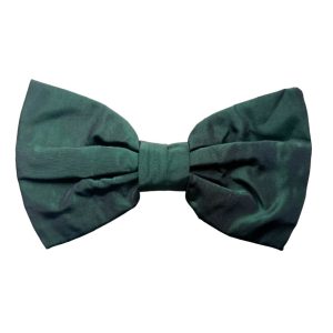 Barette taffetas Laura Ashley verte