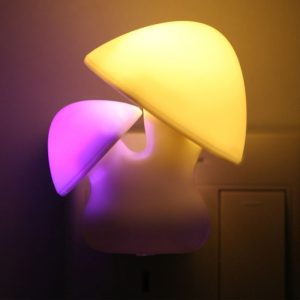 Champignon Luminescent Veilleuse
